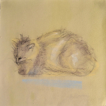 13-Cat-pastel-Julie-Wyness