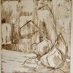 16-Shallots-Julie-Wynes-printmaking-etching