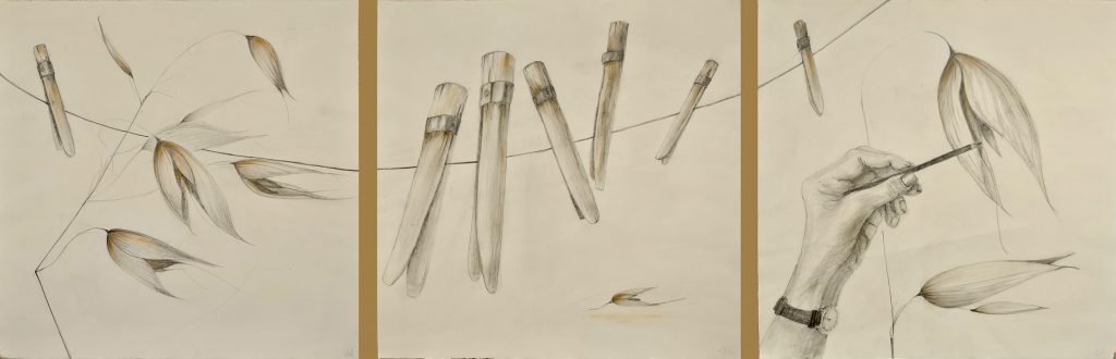 Pencil drawing of washing line, hand, oats