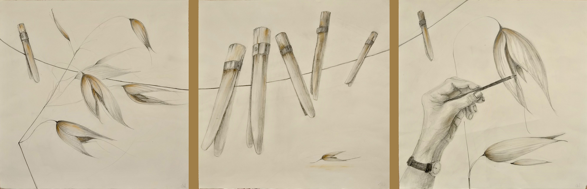 Pencil drawing of washing line, hand, oats